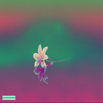 Icee Red x Flozigg - "Blossom, My Love Vol. 2"